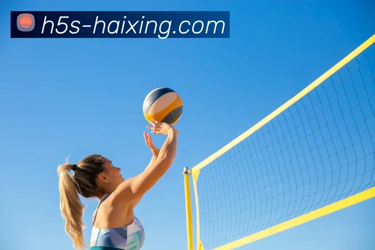 海星体育平台生态图