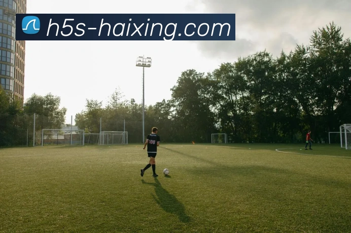 海星体育APP 封面图